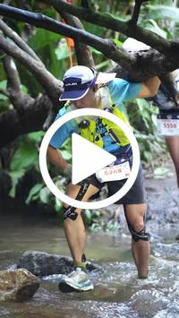 BIB:  <button type="button" onclick="openModal(27808595)" class="btn btn-primary btn-sm float-right" data-toggle="modal" data-target=".modal-high-quality">
                <i class="fa fa-download"></i> Download
                </button>